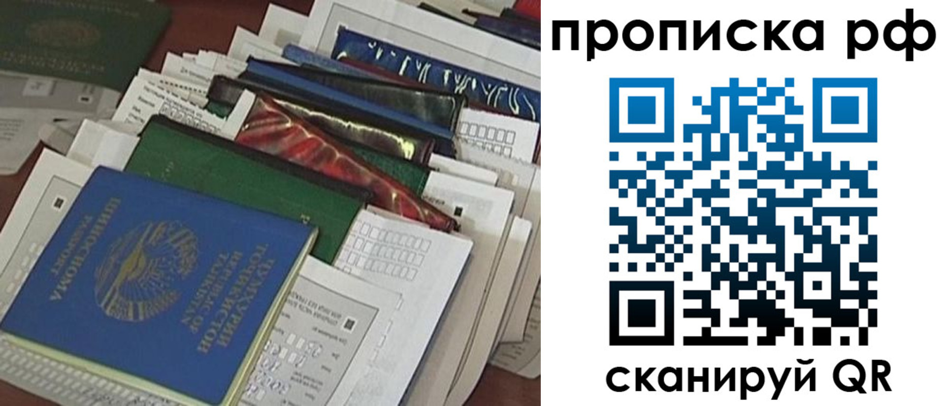 прописка в Звенигово